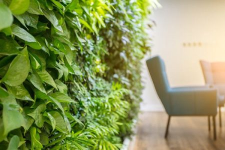 Green Office Green Office